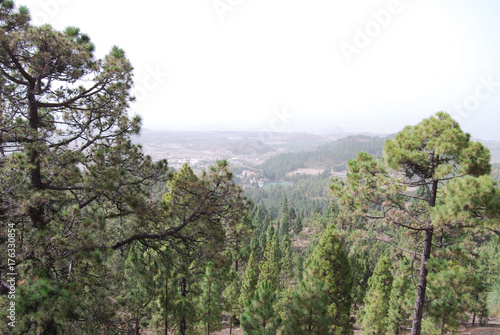 Tenerife