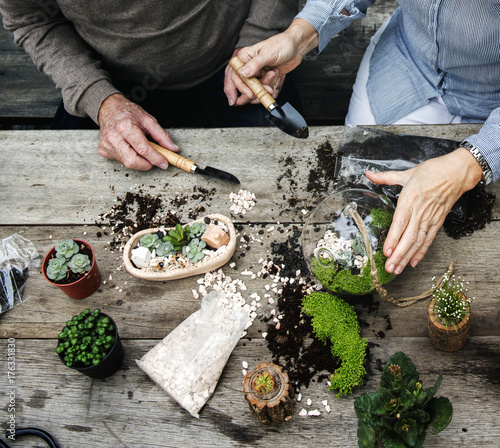 Couple making a terrarium with miniature plants photo