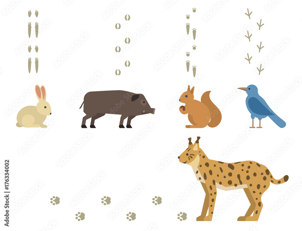 Fototapeta premium Animal footprints include mammals and birds foot print trace wildlife track steps wild nature silhouette vector