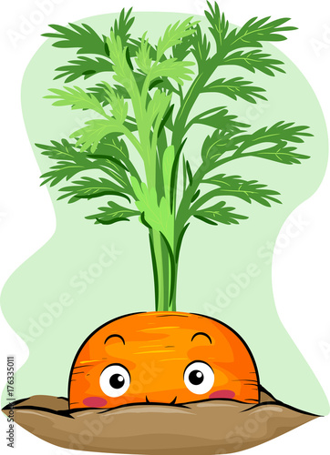 Peeping Carrot Mascot Illus...