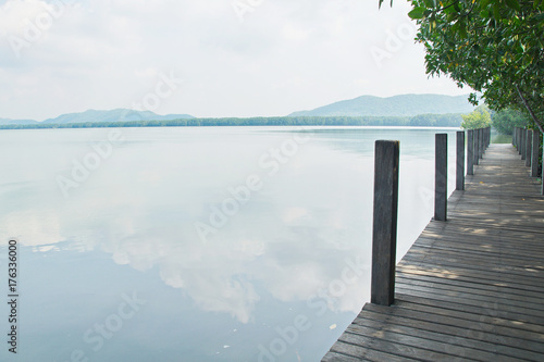 Mangrove Forest Border