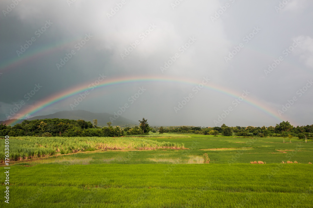 Beautiful Rainbow over rice field with blue sky background in rainy day. Beautiful Rainbow over rice field with blue sky background in rainy day.
