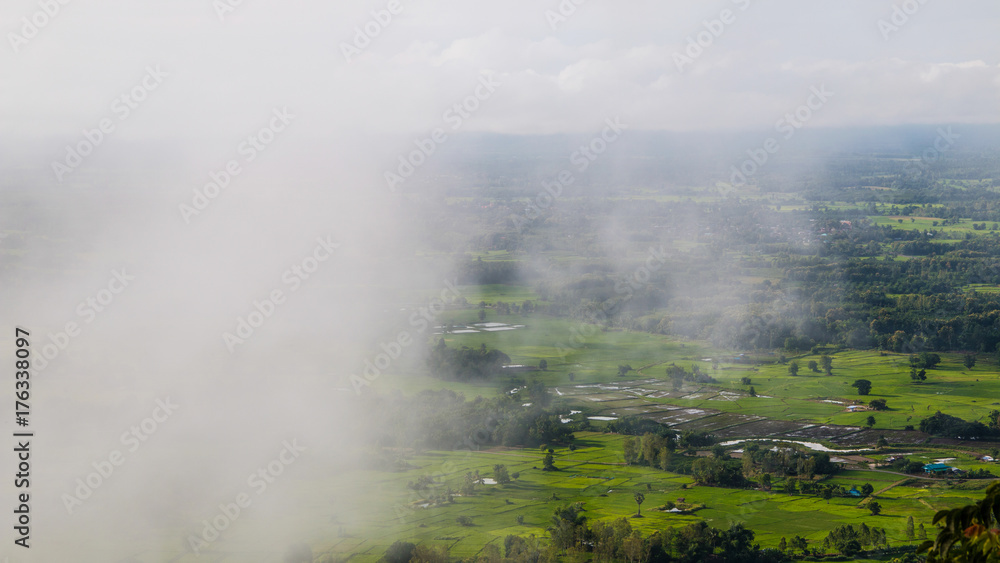 Beautiful scene view of misty in the morning over rice field and the forest at sunrise time at Phu tok ,located in Loei province in the northeast of ,Thailand