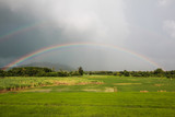 Beautiful Rainbow over rice field with blue sky background in rainy day.