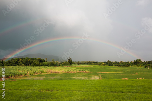 Beautiful Rainbow over rice field with blue sky background in rainy day.