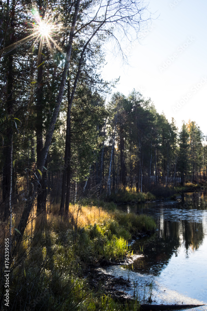 Obraz premium OLYMPUS DIGITAL CAMERA