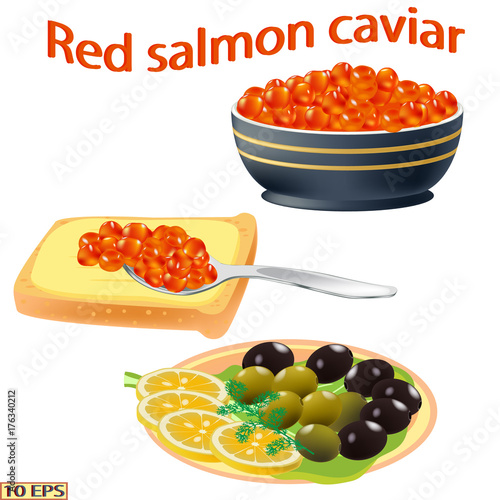 Red caviar close-up.  Salmon caviar. Sandwich with red caviar isolated on white background.  Vector illustration.