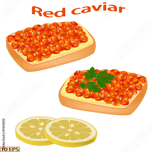 Red caviar close-up.  Salmon caviar. Sandwich with red caviar isolated on white background.  Vector illustration.