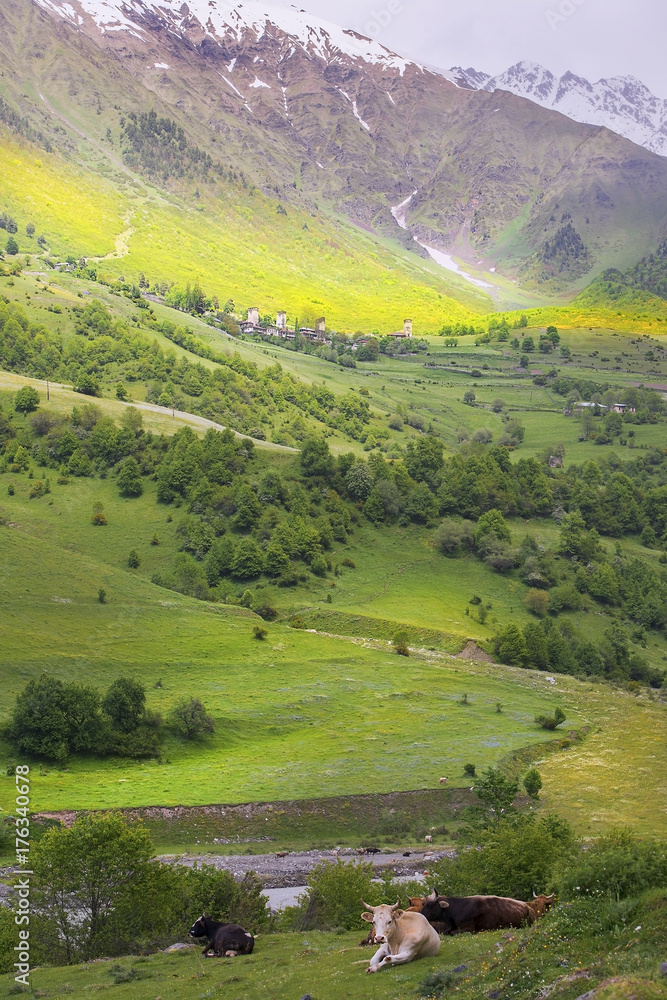 landscape in the Caucasus Mountains, Upper Svaneti, Georgia