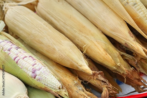 corn at street food