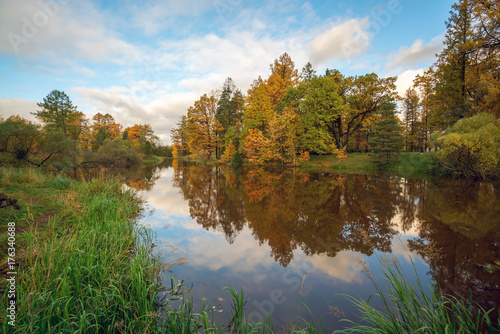 Forest autumn trees by the river .