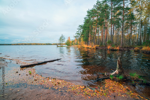 Autumn scenery with the fallen leaves on the water. photo