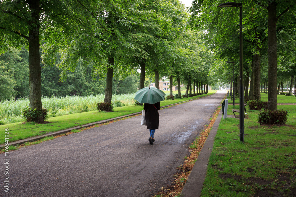 A single woman with a green umbrella walking down the Park alley in the rain. A single woman with a green umbrella walking down the Park alley in the rain.