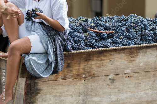 Asti, Italy - September 10, 2017: Women sitting on an old wagon carry bunches of black grapes for grape harvest