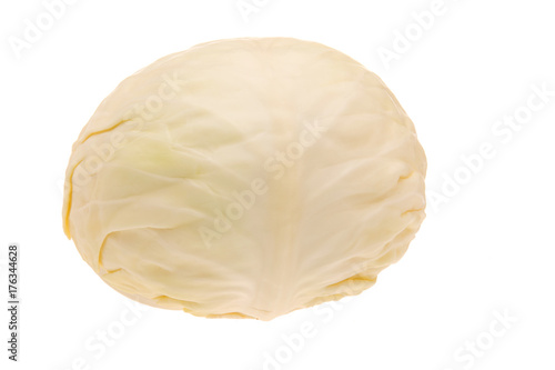 Regular white cabbage
