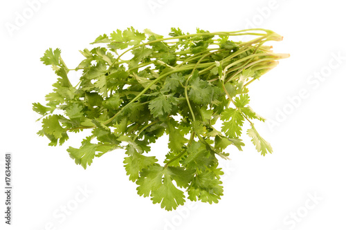 Branches of parsley