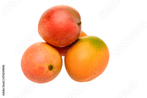 Four Mini mangos