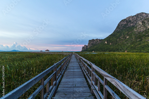 Sunset The lotus pond in Sam Roi Yot National Park Prachuap Khiri Khan