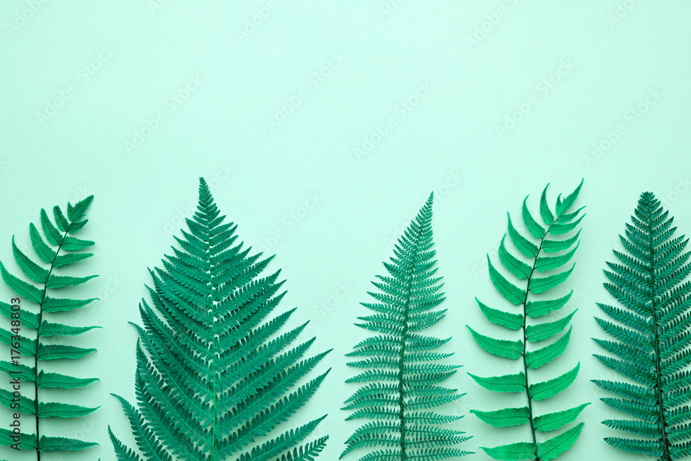 Floral Leaves Fashion Concept. Fern Tropical Leaf. Vivid Design. Art Gallery. Creative Bright Color Background. Minimal Style. Green Summer fashion