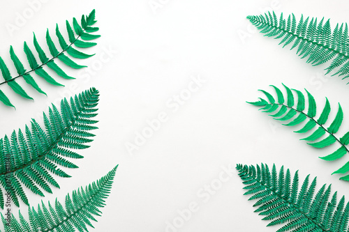 Floral Leaves Fashion Concept. Fern Tropical Leaf. Vivid Design. Art Gallery. Creative Bright Color Background. Minimal Style. Green Summer fashion