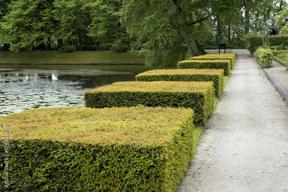Clipped blocs of Taxus baccata Clipped blocs of Taxus baccata