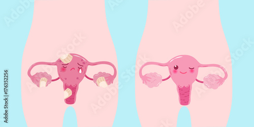 cute cartoon uterus