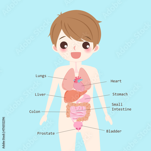 man with organ
