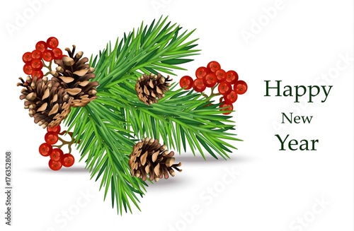 Happy New Year Card Vector. Fir tree branches and viburnum on whites