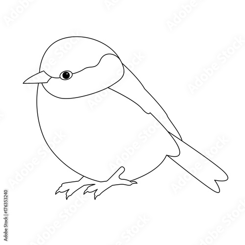  bird tit vector illustration line drawing  coloring book