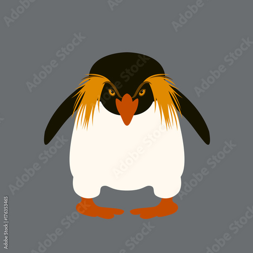 penguin angry vector illustration style flat front side