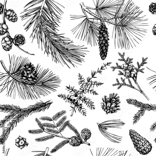 Vector background with hand drawn winter trees sketch. Seamless pattern with traditional christmas plants and flowers. Vintage holiday decor. 