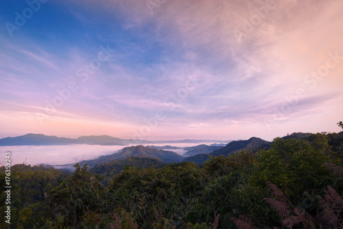 Mist in mountain range. Thick mist in the high mountain range under clear colorful sky at sunrise with  meadow and tree in foreground. 