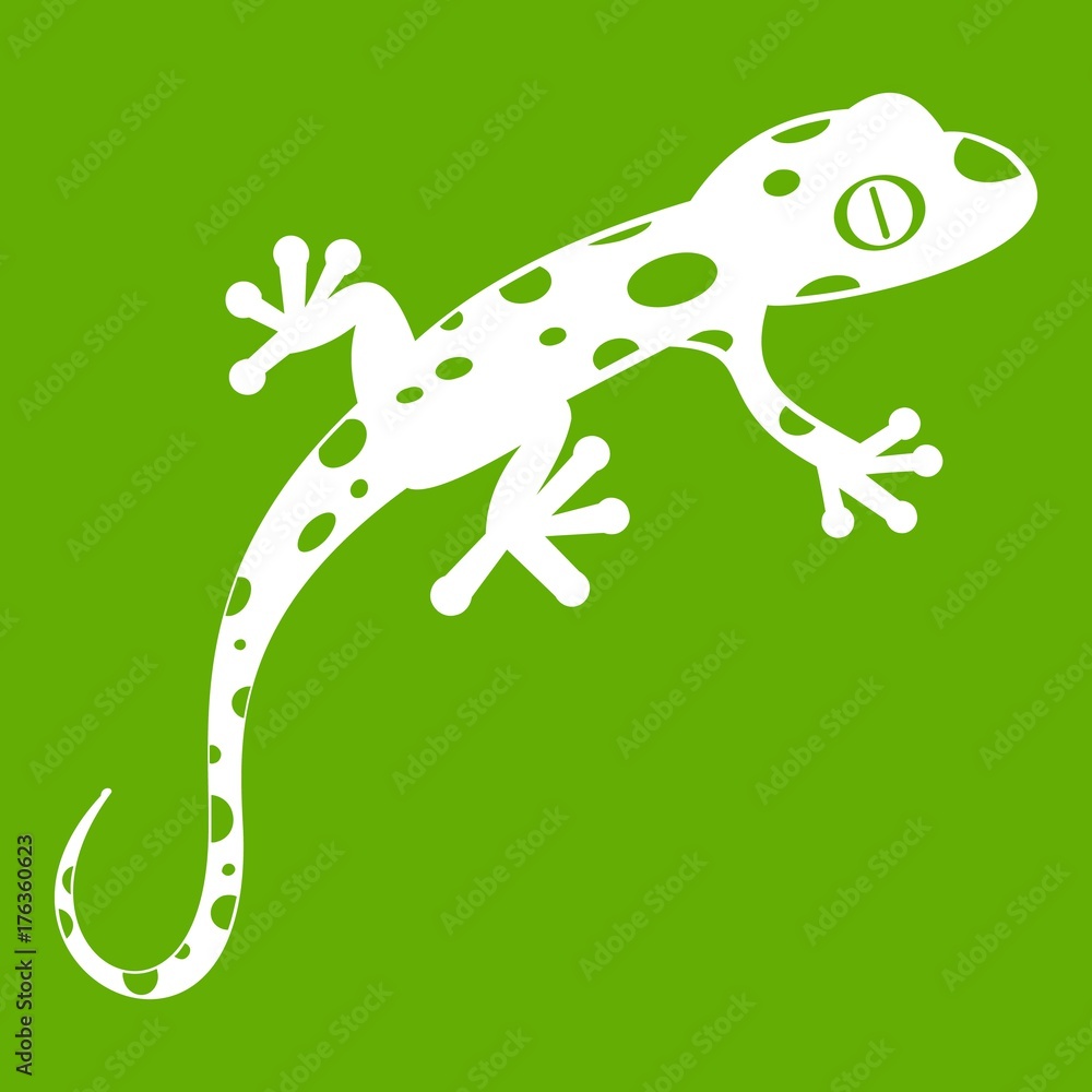 Fototapeta premium Chameleon icon green