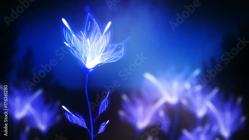 Growing plant. Magic field. Growing flower closeup.