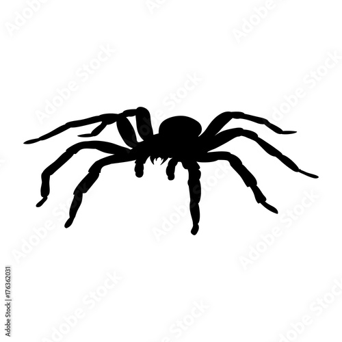 Spider monster silhouette ancient mythology fantasy