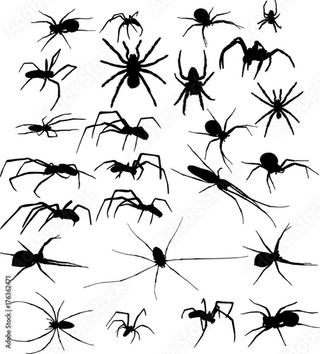 twenty five black spiders silhouettes illustration