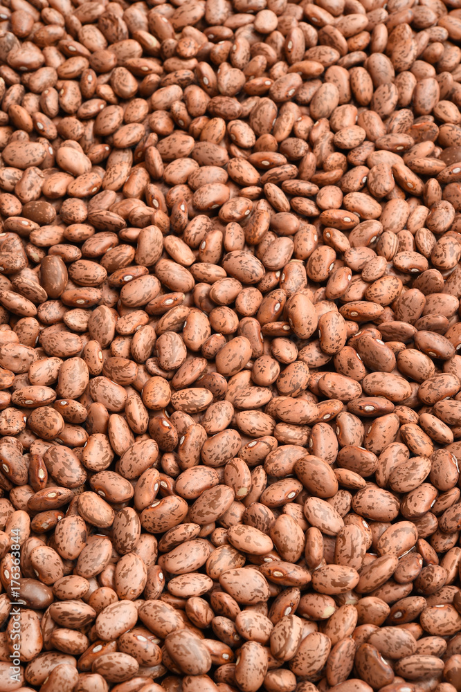 Pinto bean for background Pinto bean for background