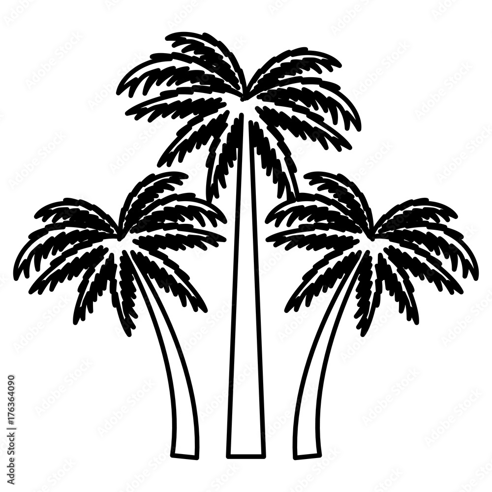 Fototapeta premium Tree palms nature icon vector illustratino graphic design