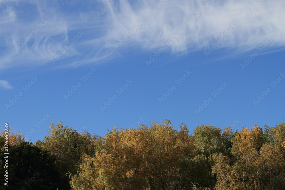 Beautiful landscapes with forest and air Beautiful landscapes with forest and air