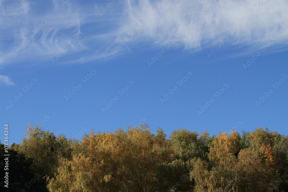 Beautiful landscapes with forest and air Beautiful landscapes with forest and air