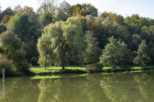  Weiher photo