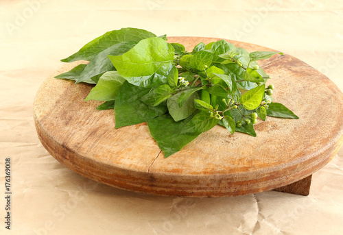 Garden nightshade leaves, which are said to have medicinal values, on a wooden table. photo