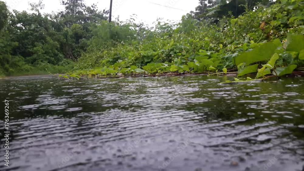 Rain Rain