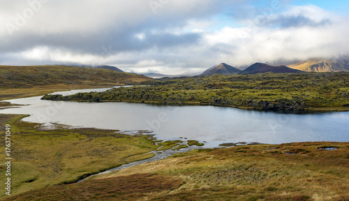 Volcanos and Meadows in Iceland