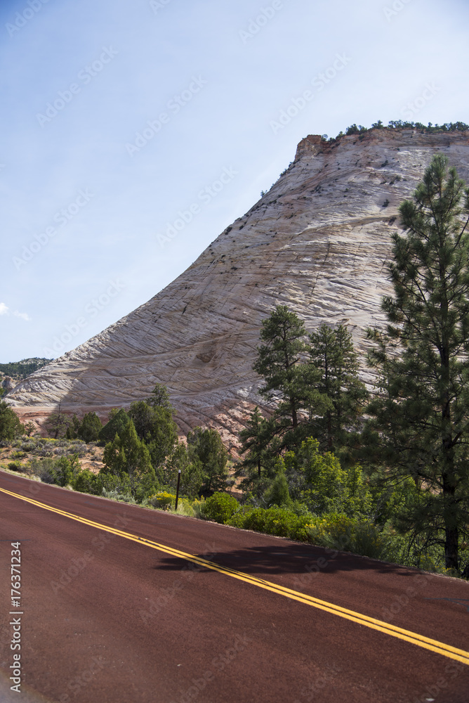 Zion National Park Road