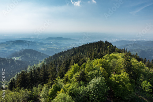 View on the black forest