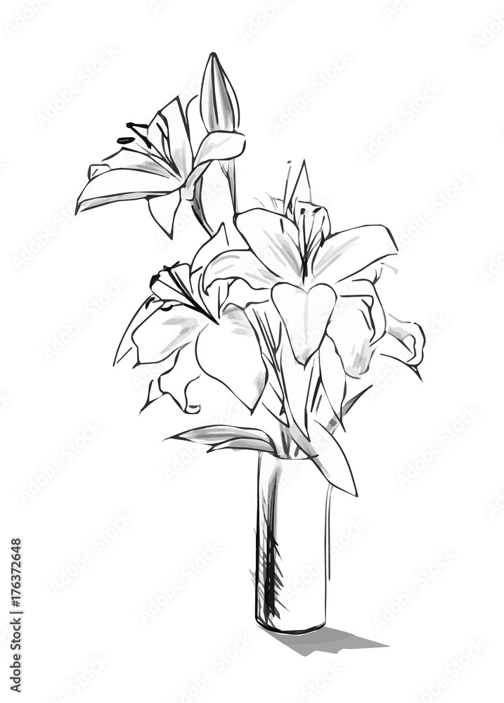 HD wallpaper flower vase handdrawn drawing art and craft creativity   Wallpaper Flare