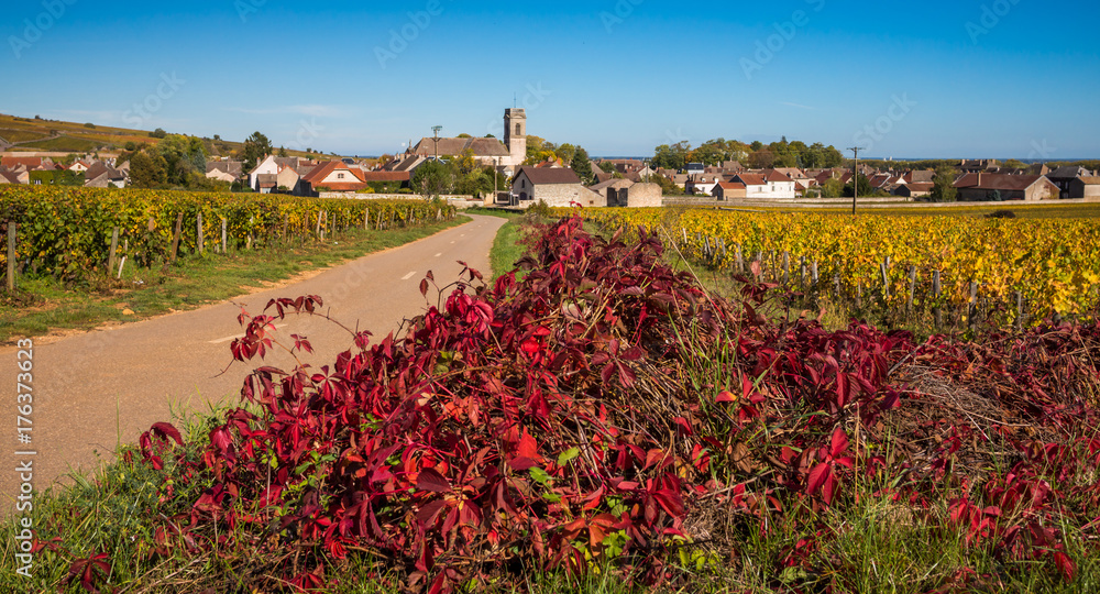 Obraz premium village bourguignon