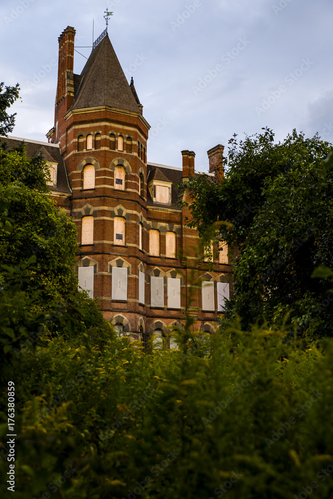 Main Building at Sunset Surrounded by Yellow Goldenrods - Abandoned Hudson River State Hospital - New York Main Building at Sunset Surrounded by Yellow Goldenrods - Abandoned Hudson River State Hospital - New York