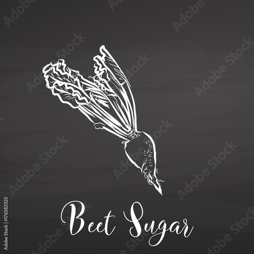 Beet sugar. Chalk on chalkboard.